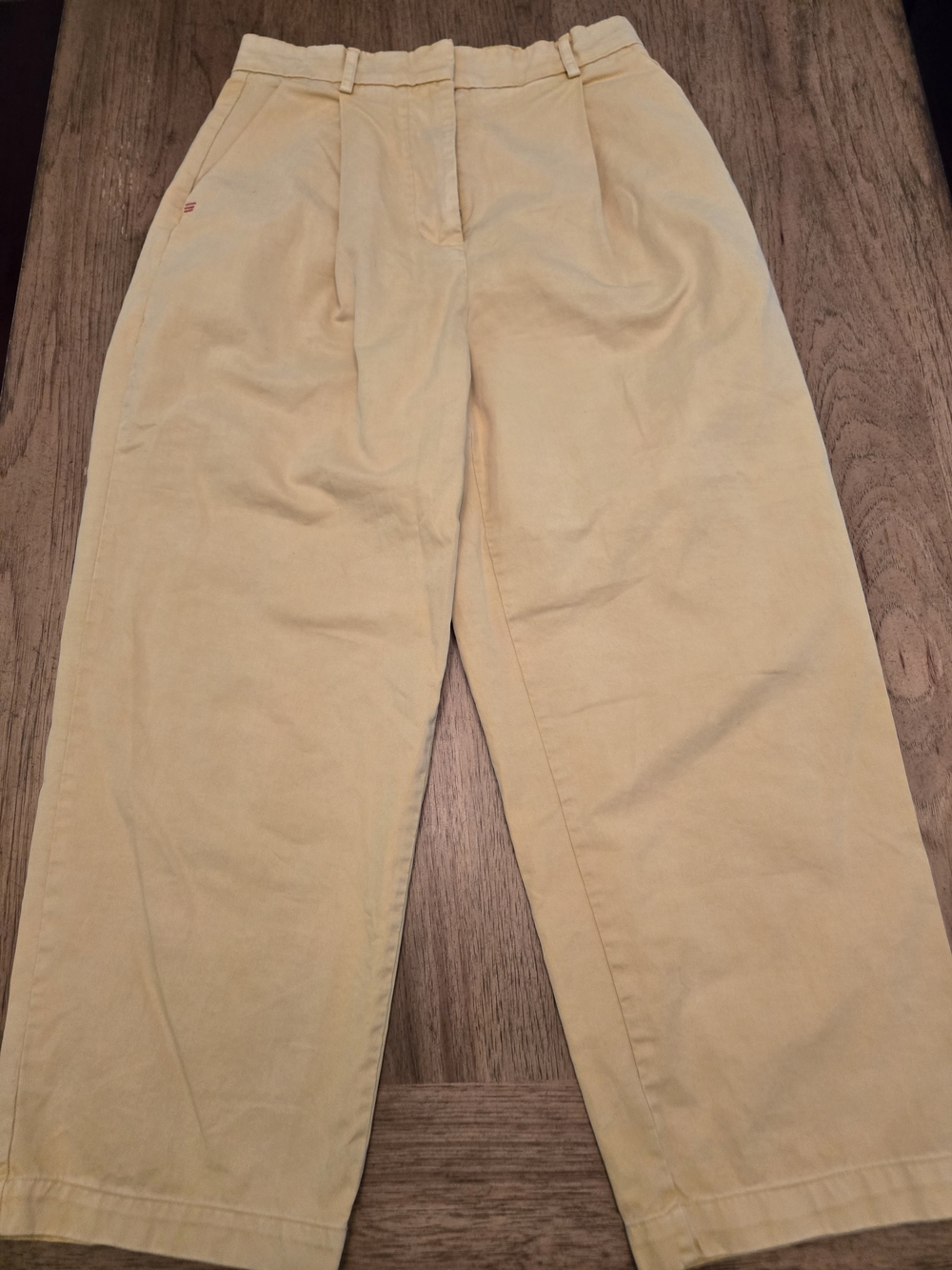 BDG Mustard Yellow Pants